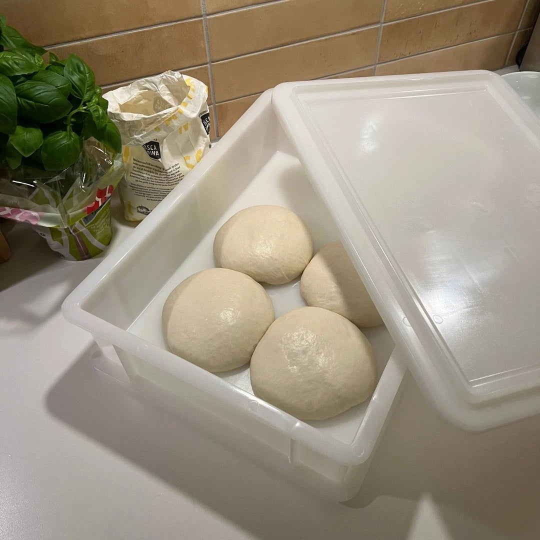 Aufbewahrungsbox für Pizzateig - 30x40x10 cm